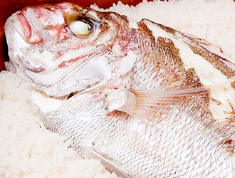 銀平 東京丸の内店