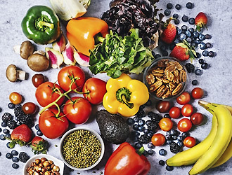 清豊会ウェルガーデンコスモス65908／コンパスグループ・ジャパン