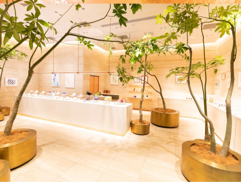 MAISON CACAO NEWoMaN横浜店／メゾンカカオ株式会社