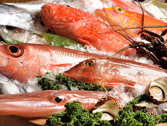 やひろ丸 錦港 やひろ丸 新橋港 株式会社やひろ丸 掲載期間 21 12 16 21 12 30 過去求人 募集要項 飲食店求人グルメキャリー 関東 首都圏の飲食業界就職 転職求人サイト