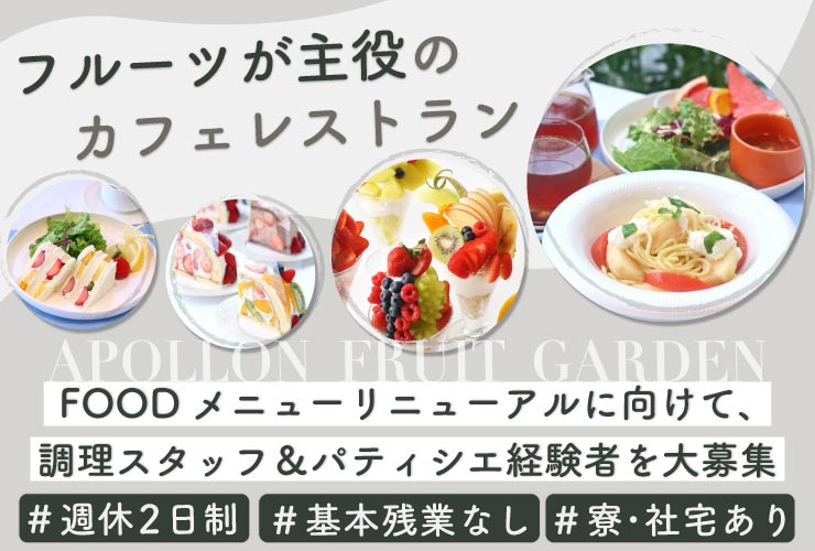 アポロホールディング株式会社 求人