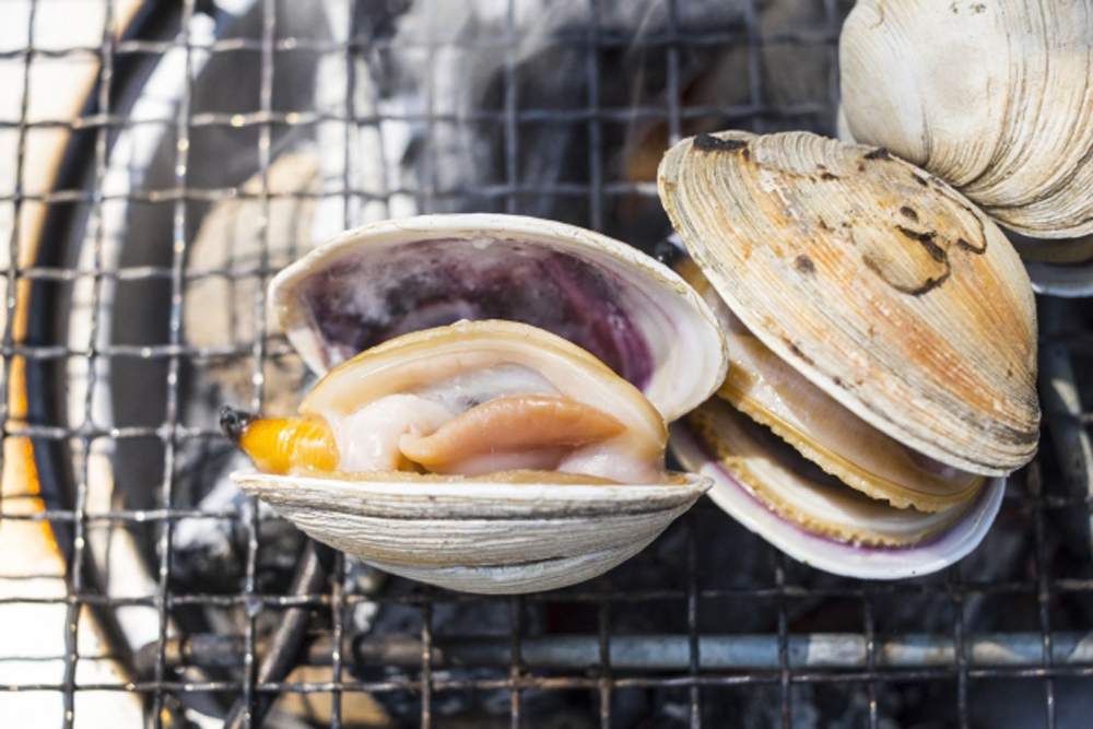 愛知で食べる 伊良湖の大アサリ は旨みが止まらない 飲食業界情報グルトピッ By飲食求人グルメキャリー